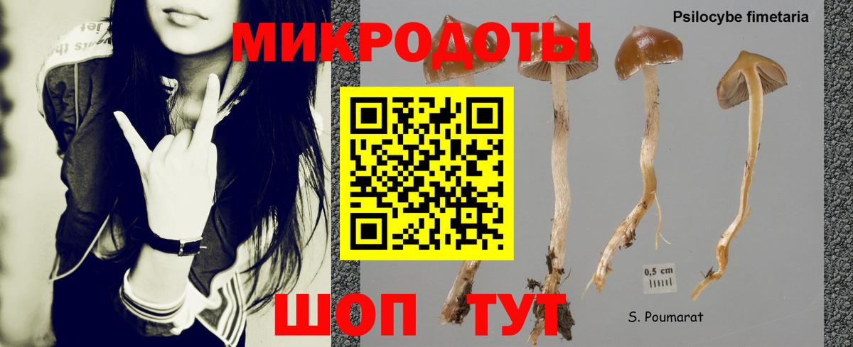 Псилоцибиновые грибы Psilocybine cubensis Гай