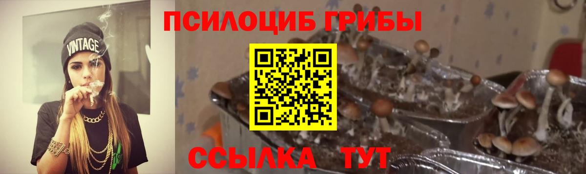 Галлюциногенные грибы MAGIC MUSHROOMS  Галлюциногенные грибы Psilocybine cubensis  Вход с VPN  Гай 